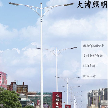 廠(chǎng)家批發(fā)LED路燈 熱鍍鋅路燈桿 6米8米10米12米市電雙臂路燈